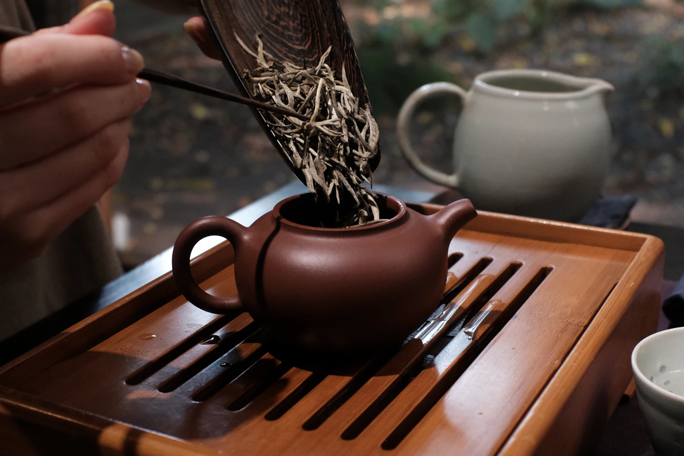 茶人把茶葉放入陶壺